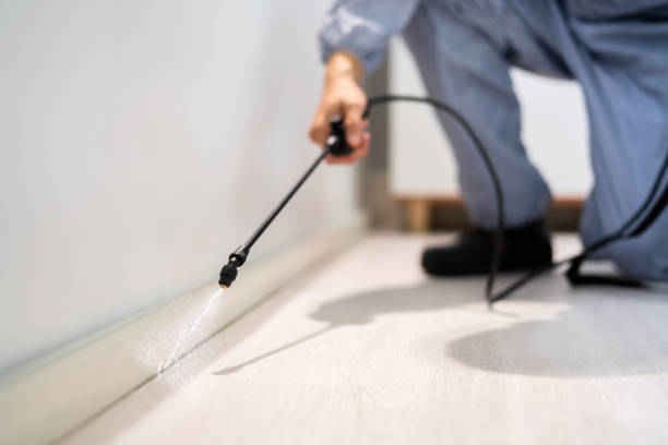 Licensed Pest Control service in Oberlin, LA - Show Me Pest Control