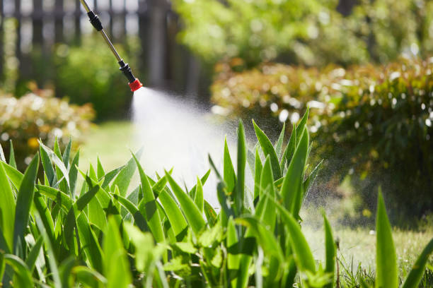 24/7 Emergency Wasp Removal experts in Oberlin, LA