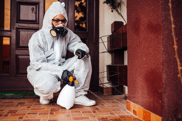 Reliable Wasp Removal contractor in Oberlin, LA by Show Me Pest Control