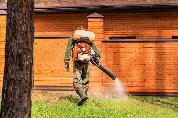 Top rated local Wasp Removal specialists in Oberlin, LA
